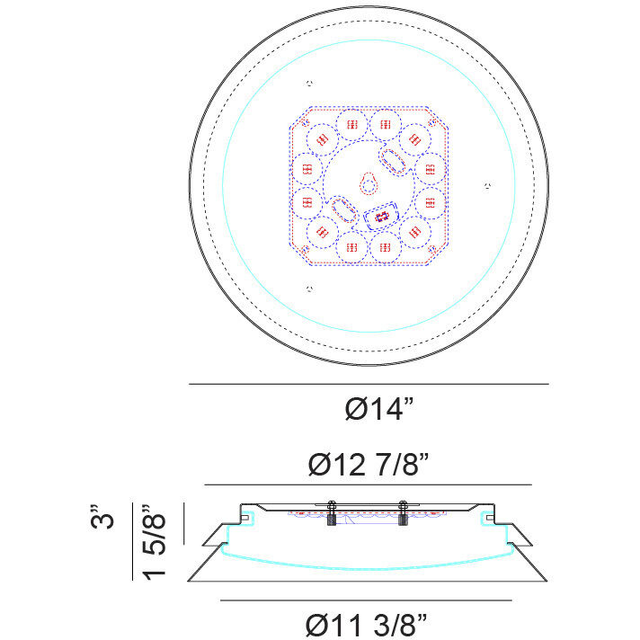 Dahlia 1 Light 14.00 inch Wall Sconce