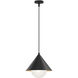 Alora Mood Remy 1 Light 13.50 inch Pendant