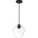 Clarity 1 Light 8.63 inch Coal Mini Pendant Ceiling Light