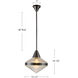 Willard Pendant Ceiling Light in Urban Bronze, Clear Prismatic Glass
