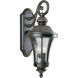 Kim Outdoor Wall Lantern, Medium