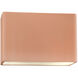 Ambiance Collection LED 6 inch Gloss Blush Outdoor Wall Sconce