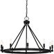 Fiora 10 Light 31 inch Black Chandelier Ceiling Light