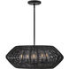 Lisa McDennon Open Air Luca LED 28 inch Black Outdoor Chandelier in 12V LED