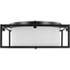 Chadwick 2 Light 15 inch Matte Black Flush Mount Ceiling Light