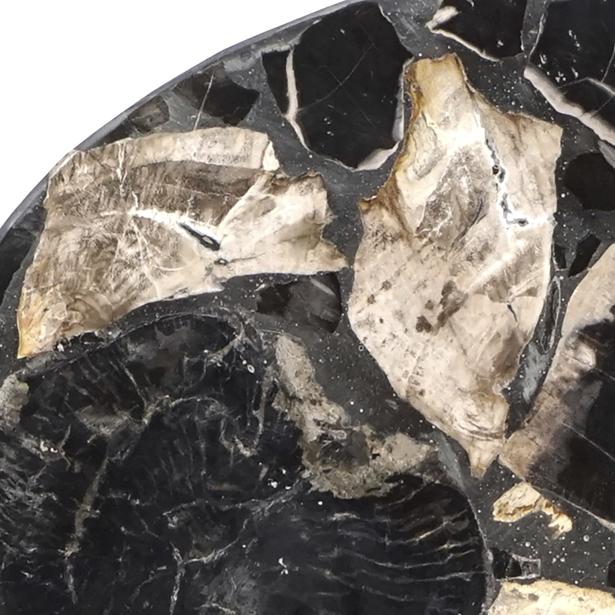 Radian Natural with Black Decorative Object