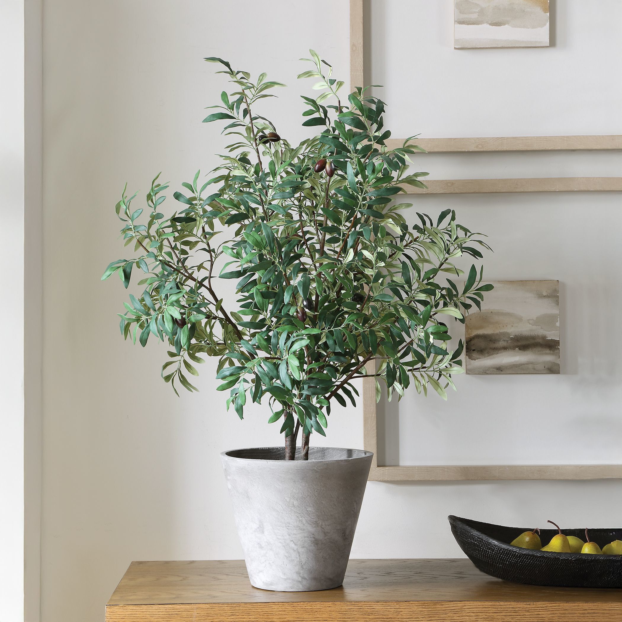 Marisol Stone Gray and Green Potted Olive Plant