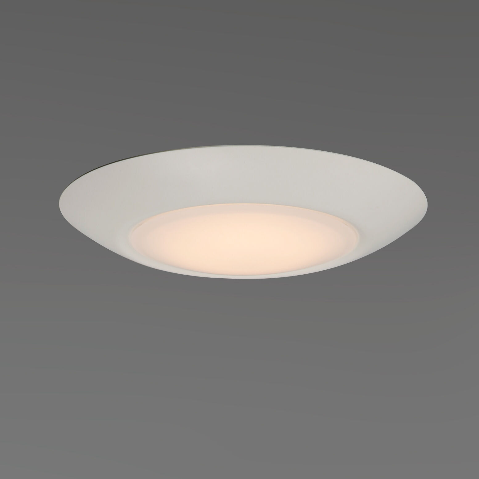 Diverse LED 8 inch White Flush Mount Ceiling Light
