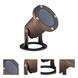 Signature 12V 50 watt Antique Brass Landscape Underwater Light
