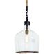 Demi John 1 Light 10 inch Clear Pendant Ceiling Light, Small
