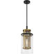 Soho 1 Light 9.5 inch Coal And Soft Brass Mini Pendant Ceiling Light