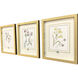 Garden Study Green and Pink and Multi and Yellow Framed Art