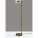 Linis 45 inch 40.00 watt Antique Brass Floor Lamp Portable Light, ADS360