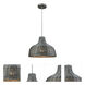 Pleasant Fields 1 Light 14 inch Weathered Gray with Graphite Pendant Ceiling Light