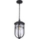 Voyage 1 Light 10 inch Midnight Outdoor Pendant