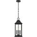 Shepard 3 Light 8 inch Black Outdoor Pendant