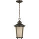 Cape May 1 Light 9 inch Burled Iron Outdoor Pendant