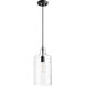 Fort Worth 1 Light 7 inch Noir Mini Pendant Ceiling Light