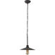 Clayton 1 Light 12 inch Dark Coffee Pendant Ceiling Light