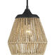 Romain 1 Light 9 inch Earth Black Mini Pendant Ceiling Light 
