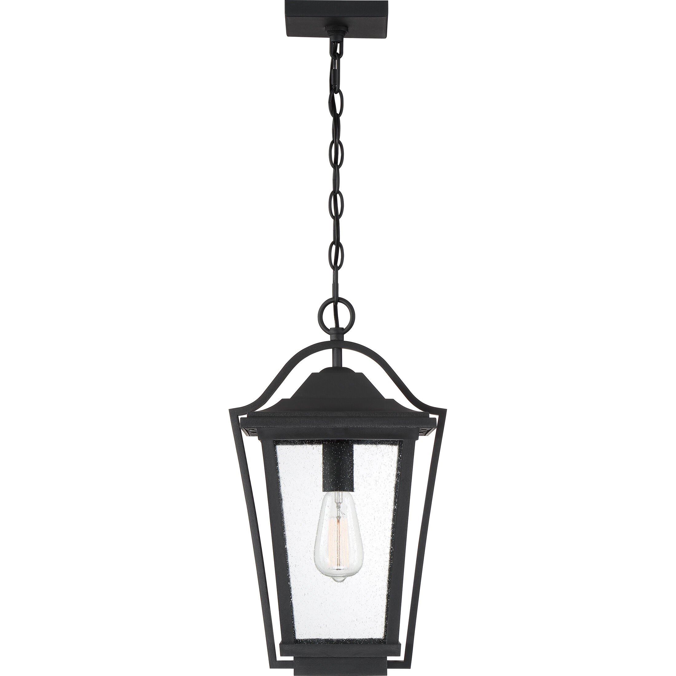 Darius 1 Light 11 inch Earth Black Outdoor Hanging Lantern