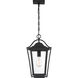 Darius 1 Light 11 inch Earth Black Outdoor Hanging Lantern