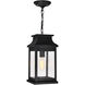 Milford 1 Light 7.25 inch Black Outdoor Hanging Light