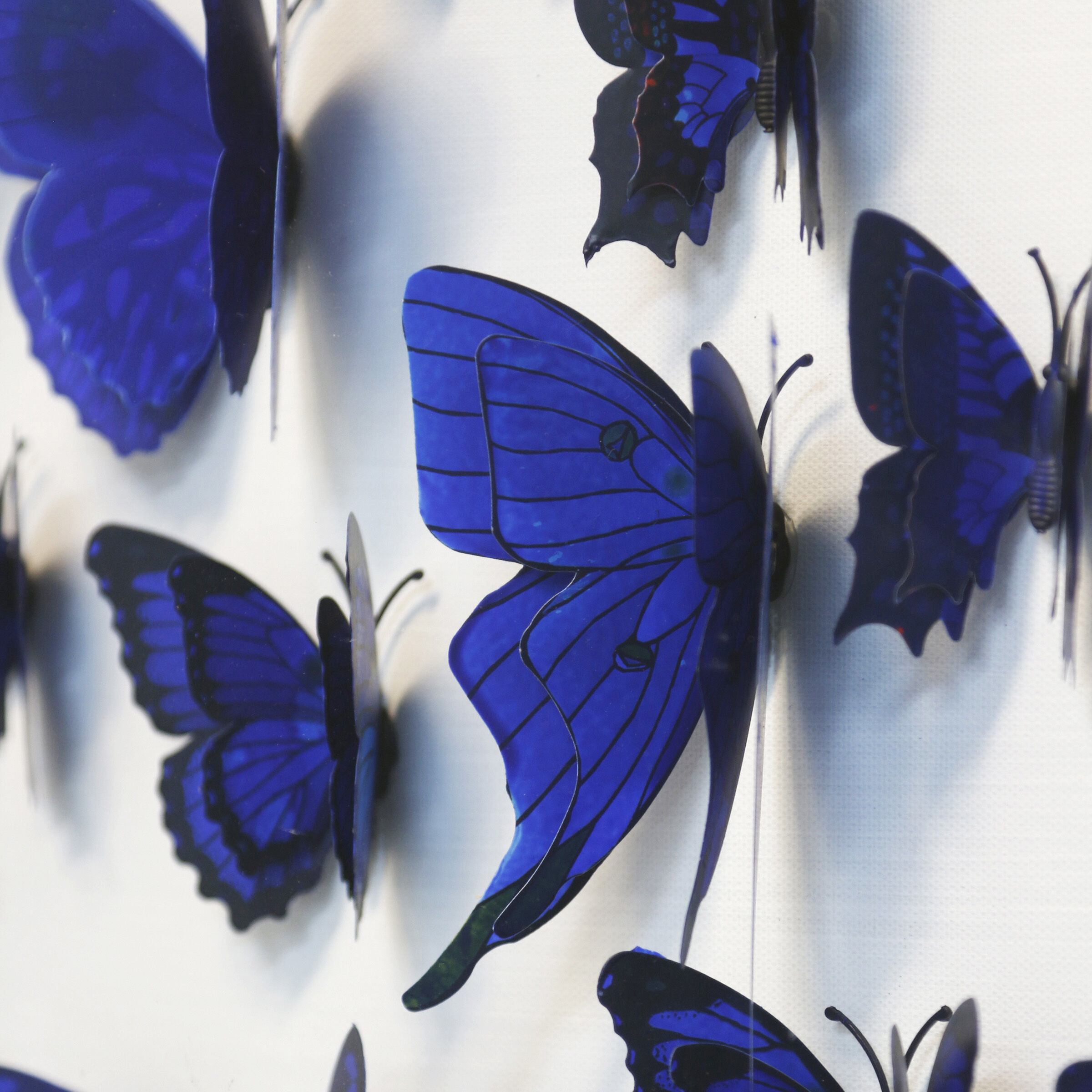 Papillon Cobalt Blue Wall Art
