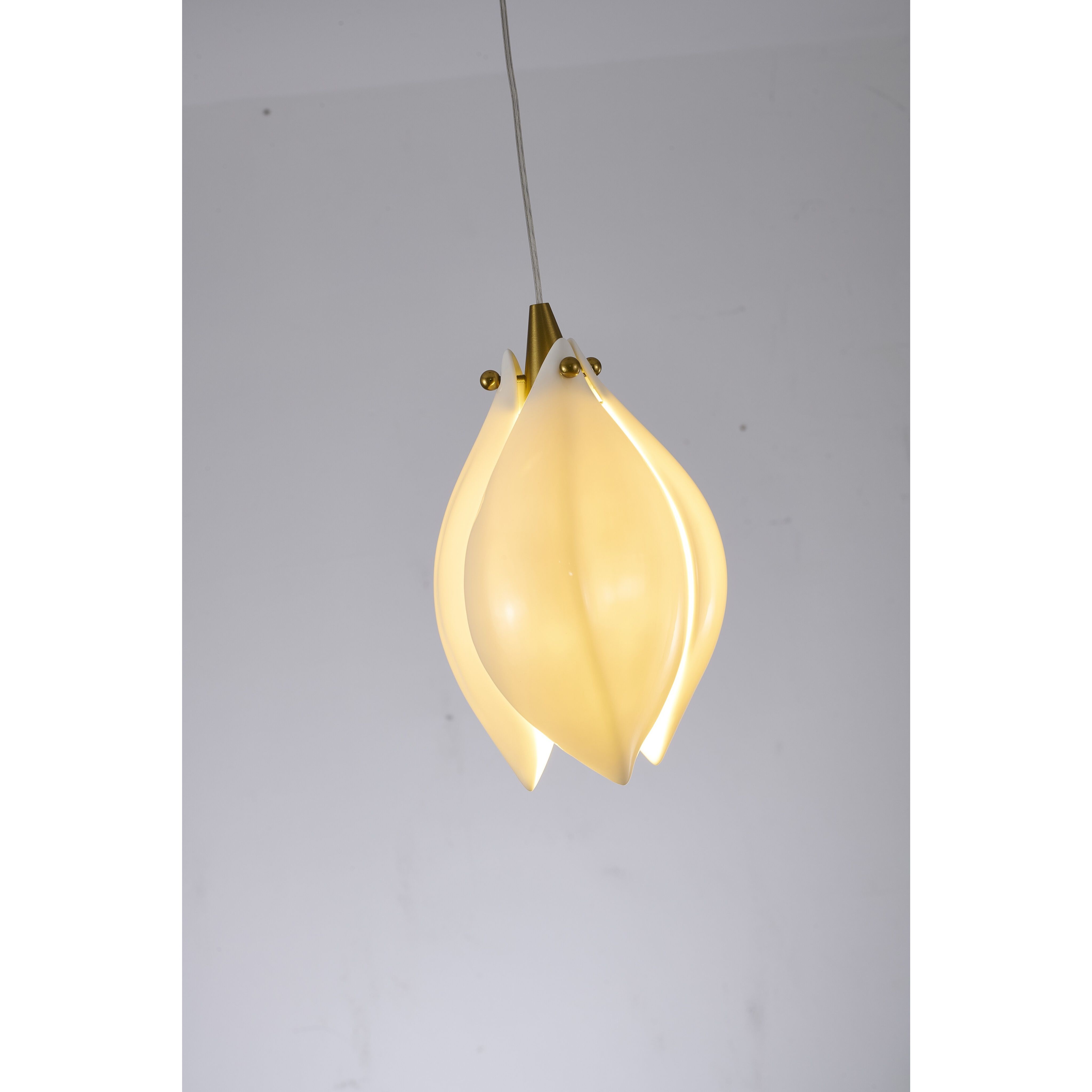 Canada Pendant Ceiling Light in Bronze