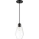 Clarity 1 Light 6.75 inch Coal Mini Pendant Ceiling Light