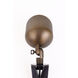 Aera 50.00 watt Antique Brass Landscape Spot Light