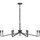 Salem 8 Light 40 inch Forged Iron Chandelier Ceiling Light