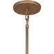 Saint Martin 4 Light 14 inch Ashen Gold Pendant Ceiling Light