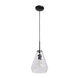 Simplicite 1 Light 9 inch Black Pendant Ceiling Light