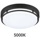 EnviroLite LED 10 inch Matte Black Flush Mount Ceiling Light