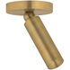 Luxe LED 2 inch Patina Brass Flush Mount Ceiling Light