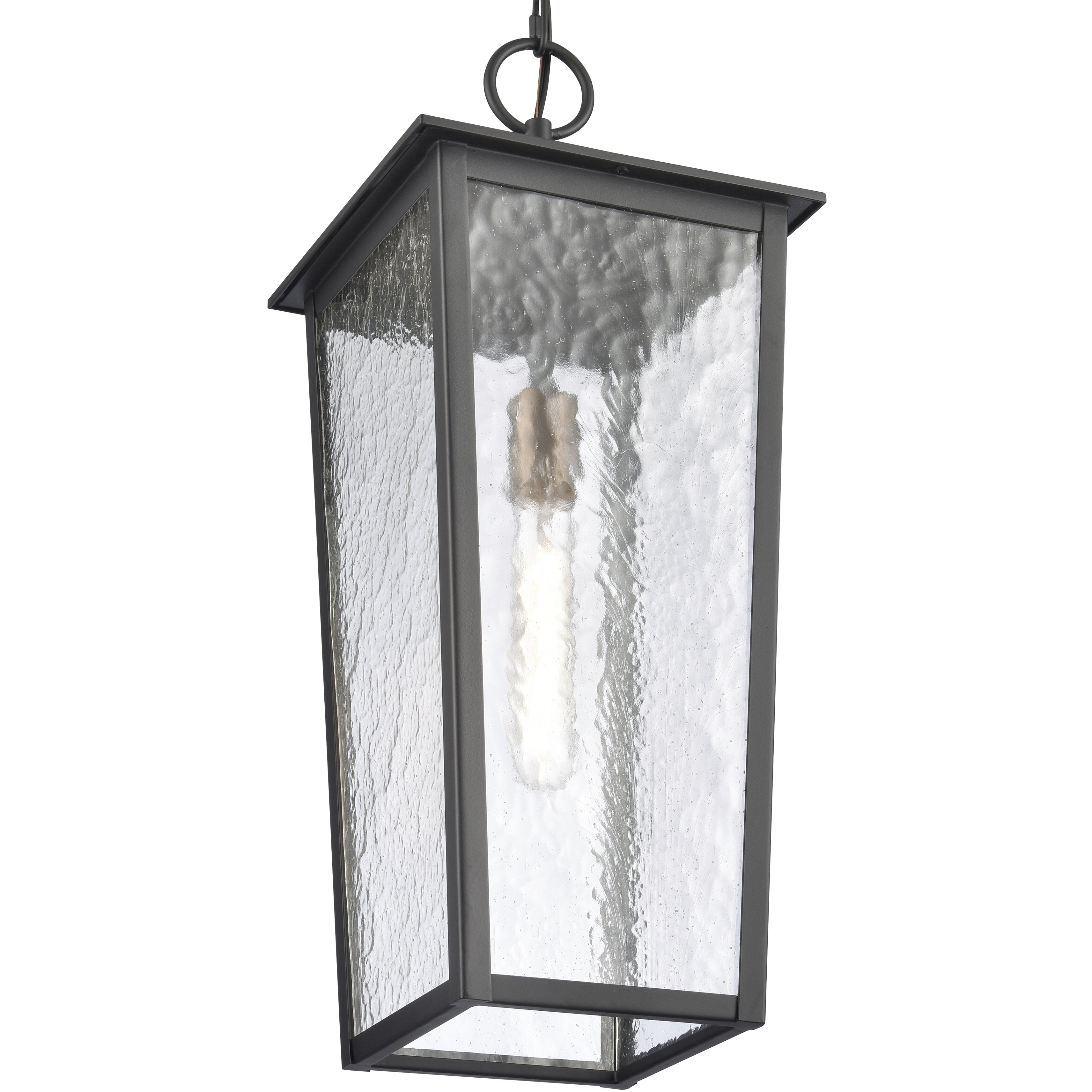 Marquis 1 Light 9 inch Matte Black with Chemical Oz and Clear Outdoor Pendant