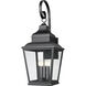 Raphael 4 Light 36.25 inch Sand Black Outdoor Wall Light in Soft Sand Black
