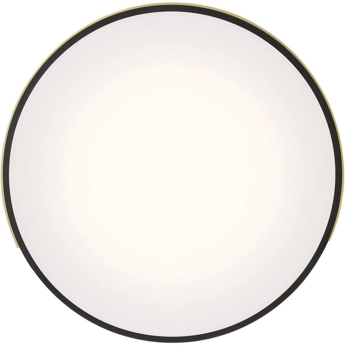 Maestro LED 14 inch Black Flush Mount Ceiling Light