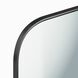 Amara 42 X 26 inch Blackened Steel Mirror