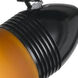 Emily 1 Light Black Track Fixture Ceiling Light in No Shade