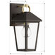 Bayra 1 Light 13 inch Painted Legacy Brass and Dark Bronze Outdoor Wall Lantern