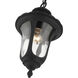 Oxford 1 Light 7 inch Textured Black Outdoor Pendant Lantern