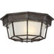 Exterior Collections 1 Light 9 inch Rustic Bronze Outdoor Flush Mount