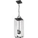 Sana 3 Light 8 inch Black Outdoor Chain Mount Ceiling Fixture in Seedy Glass
