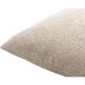 Eesha 22 X 22 inch Light Gray Accent Pillow