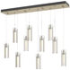 Exos Glass 10 Light 44.5 inch Modern Brass Pendant Ceiling Light in Clear, Rectangular