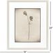 Wildflower Stems Brown and Gray and Neutral Framed Art, Propac