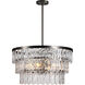Solaris 4 Light 24 inch Gunmetal Chandelier Ceiling Light