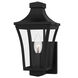 Quentin 1 Light 12 inch Earth Black Outdoor Wall Lantern, Small